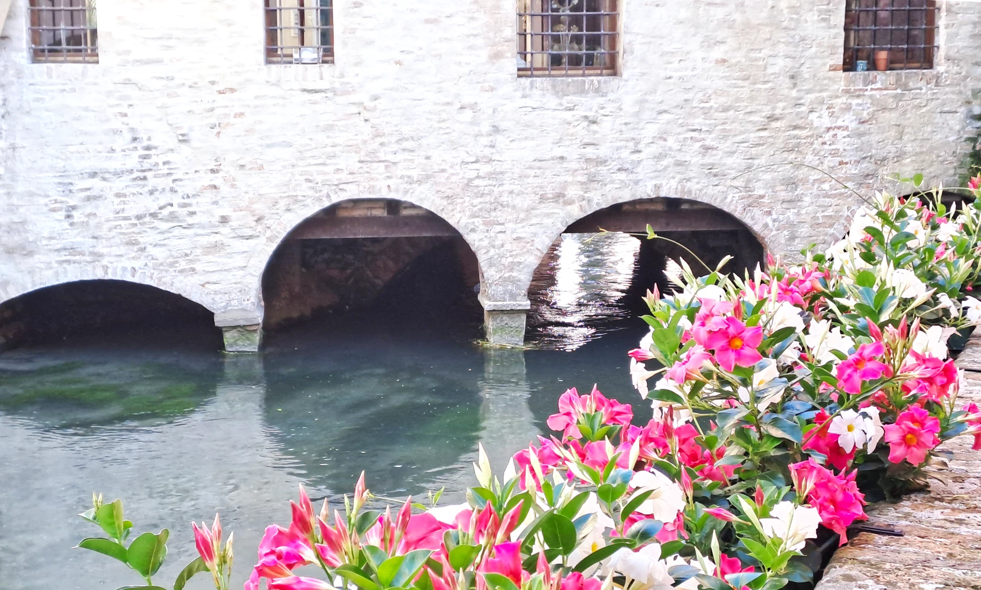 Treviso, Come Eravamo: Storie e Immagini di una Trasformazione Urbana